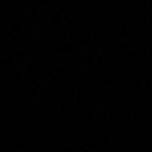 Meet your Posher, Bruce